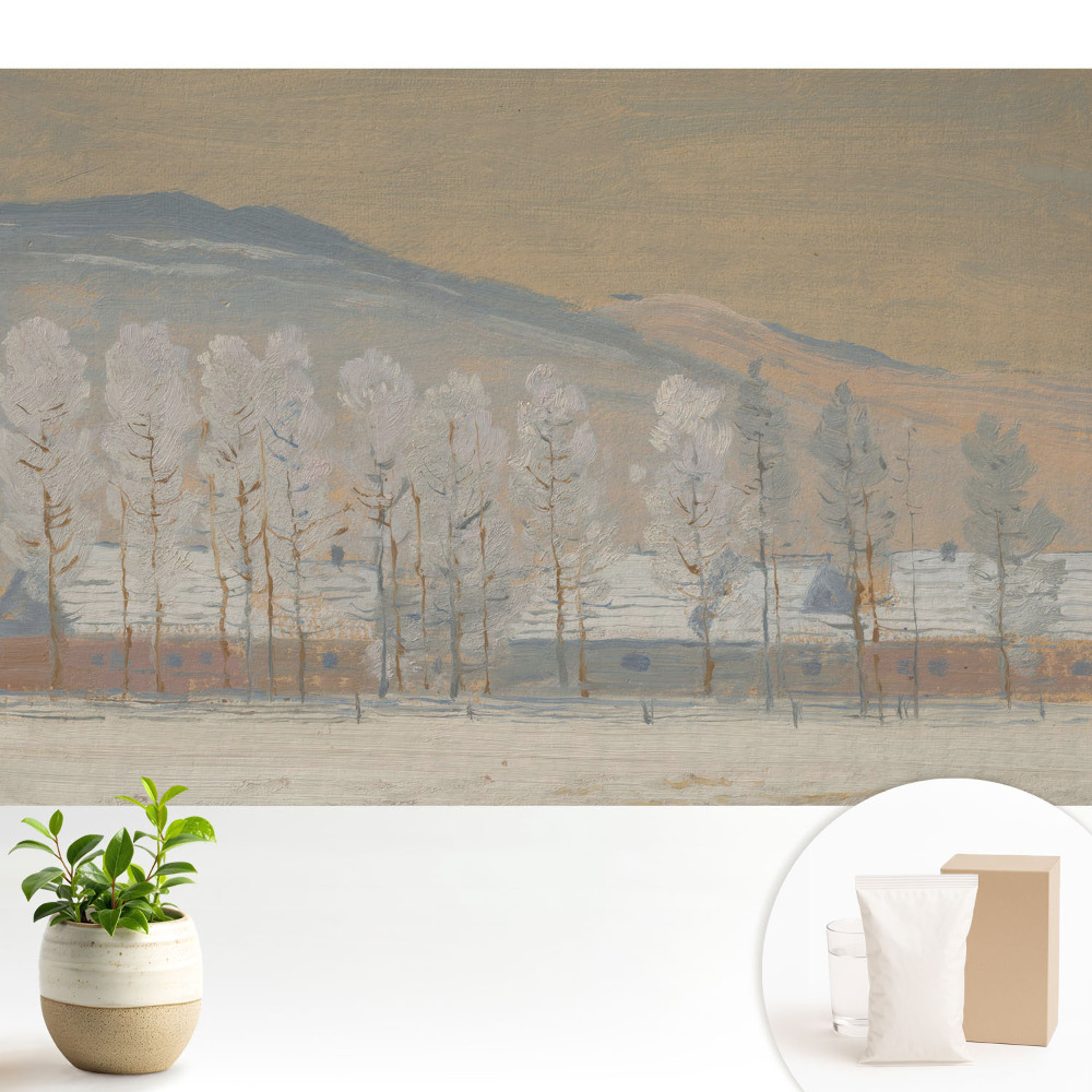 Peisaj montan de iarnă cu căsuțe pitorești