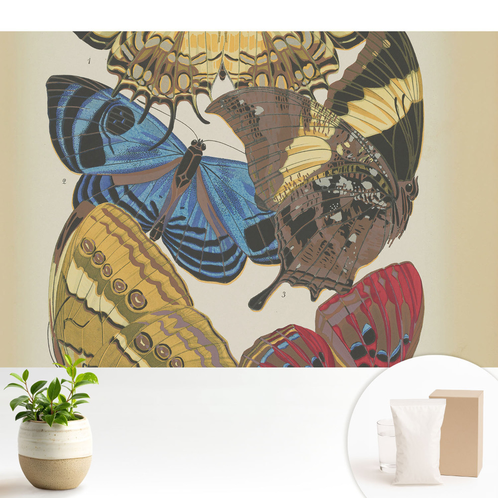 Fluturi colorați într-o compoziție elegantă