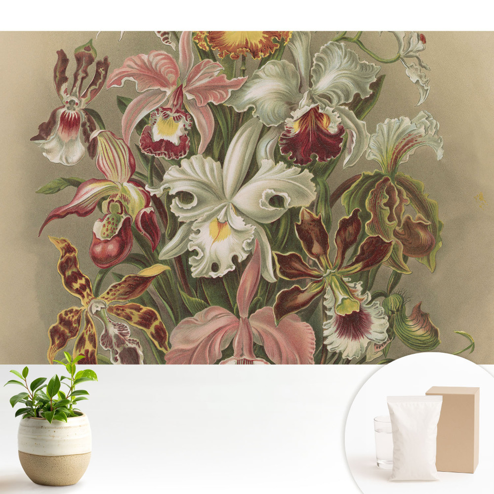 Flori exotice, armonia naturii