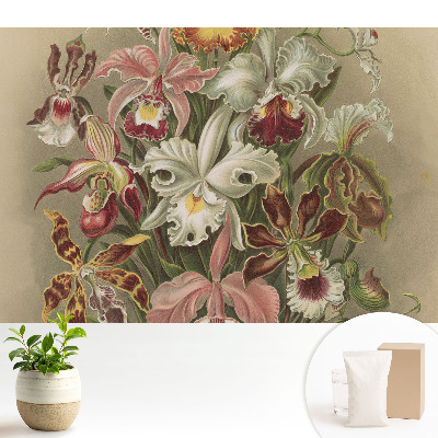 Flori exotice, armonia naturii