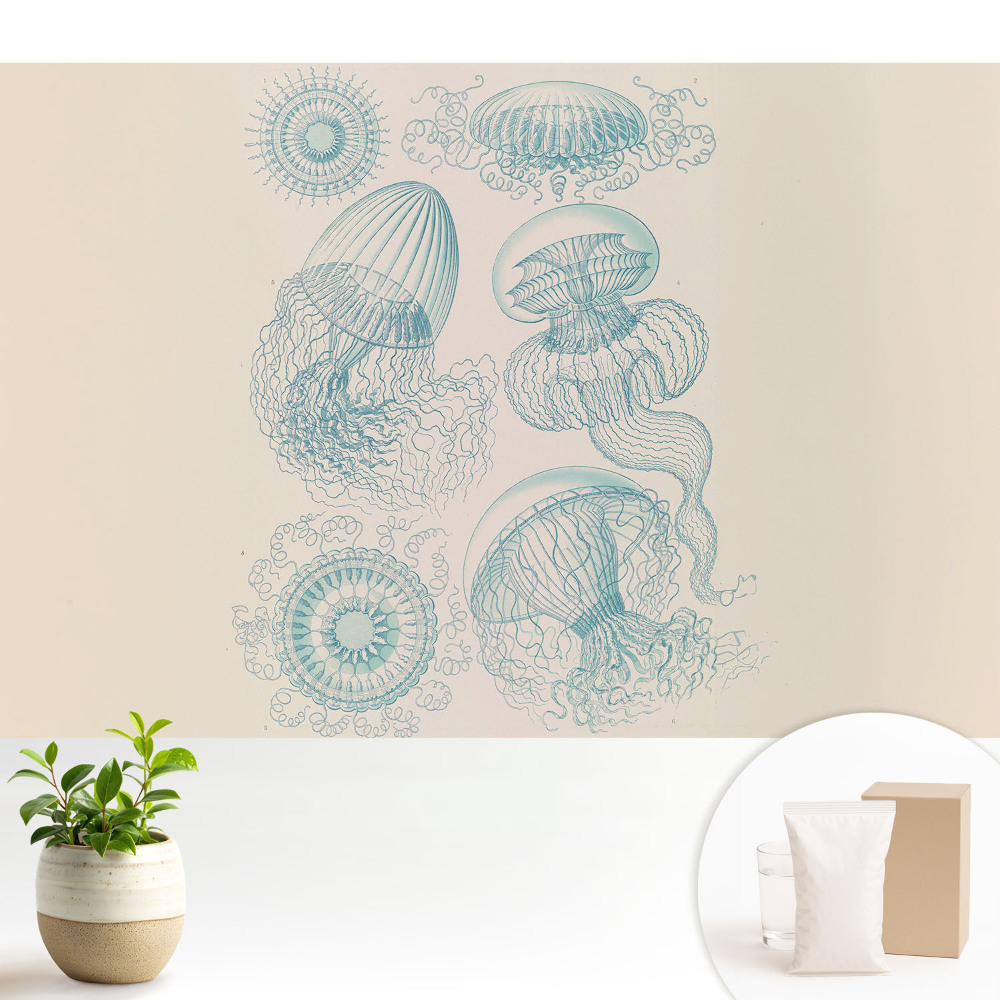 Desene subtile cu meduze marine