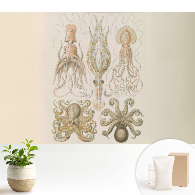 Armonia detaliilor cefalopodelor marine