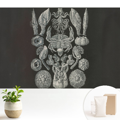 Gravură artistică a organismelor marine