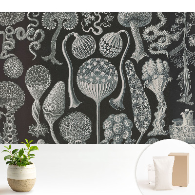 Forme organice fantastice în alb și negru