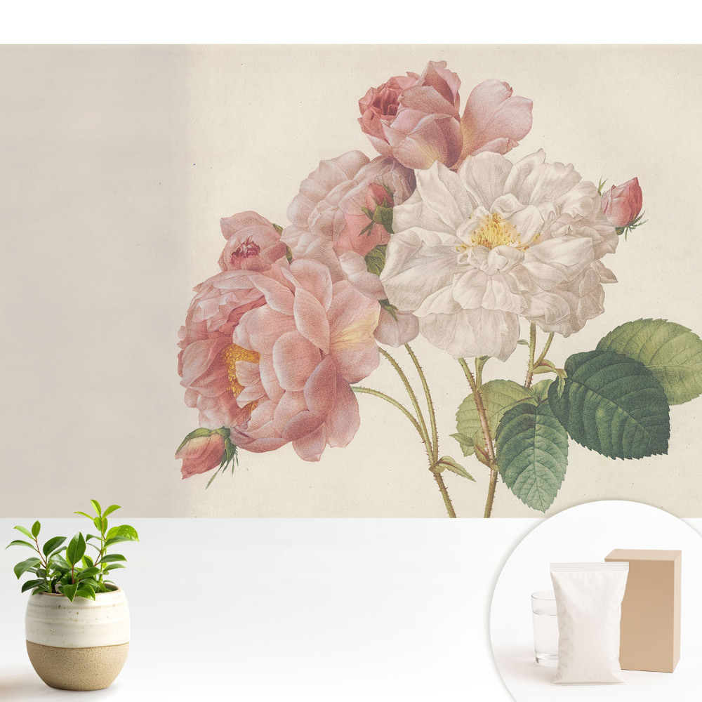 Buchet clasic de trandafiri