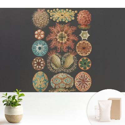 Forme marine abstracte într-un stil clasic