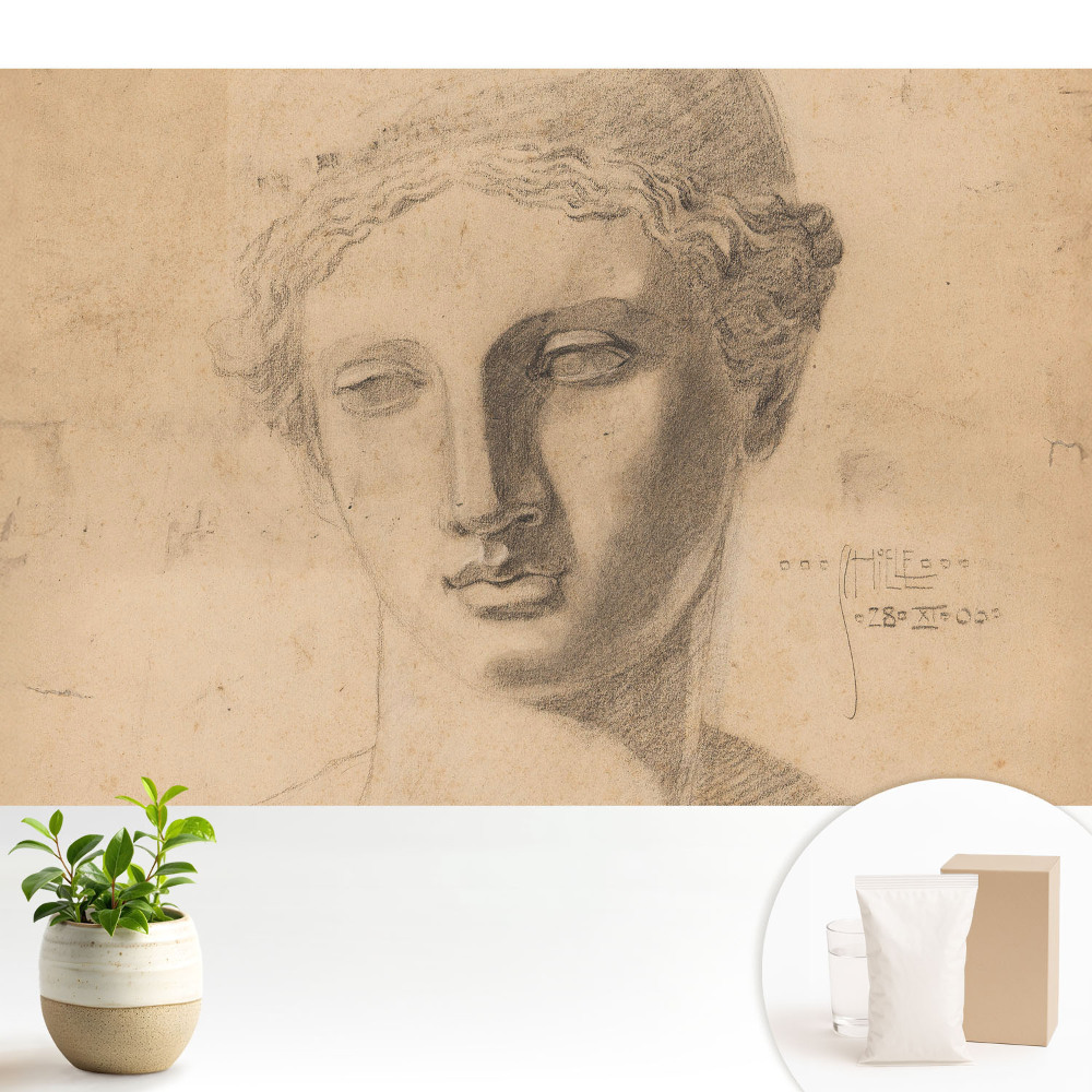 Grafică clasică a feței feminine