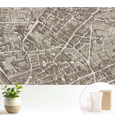 Hartă clasică a orașului