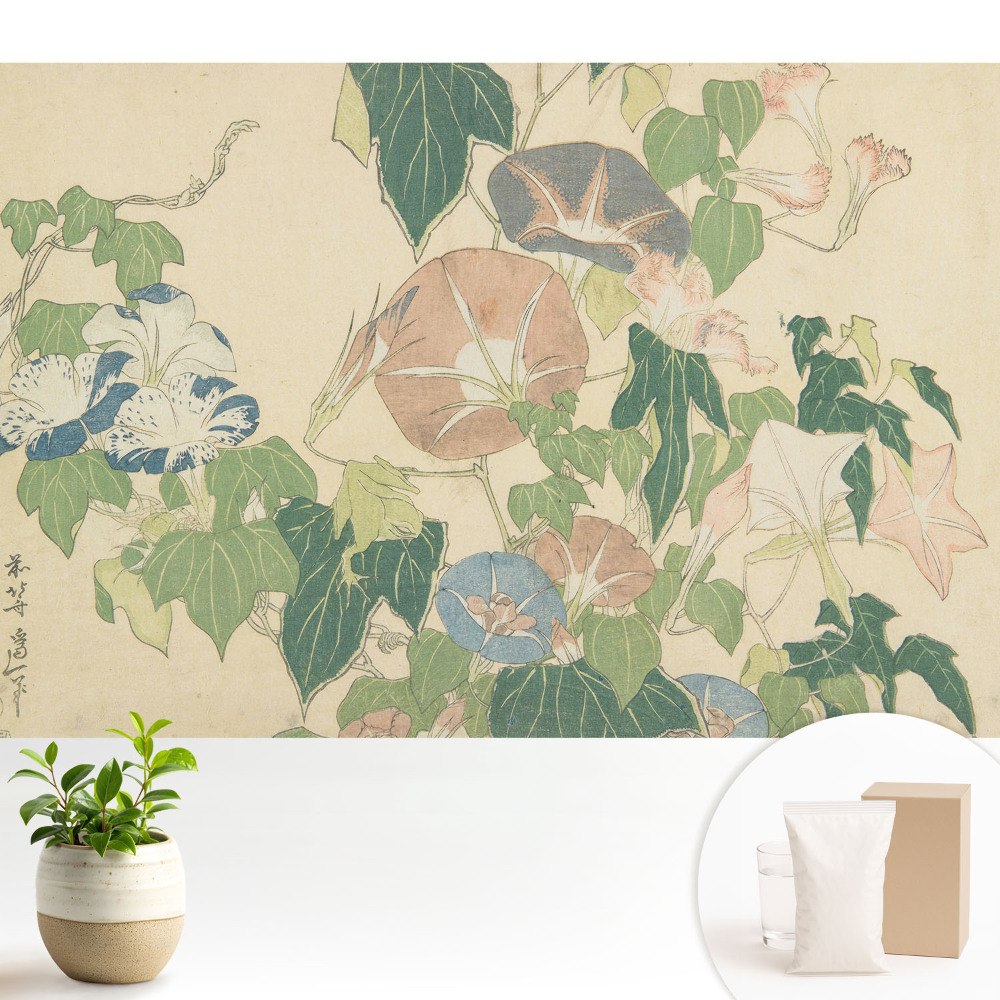 Viță de vie înflorită, armonie a naturii