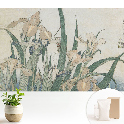 Irișii sunt un model clasic de armonie și eleganță