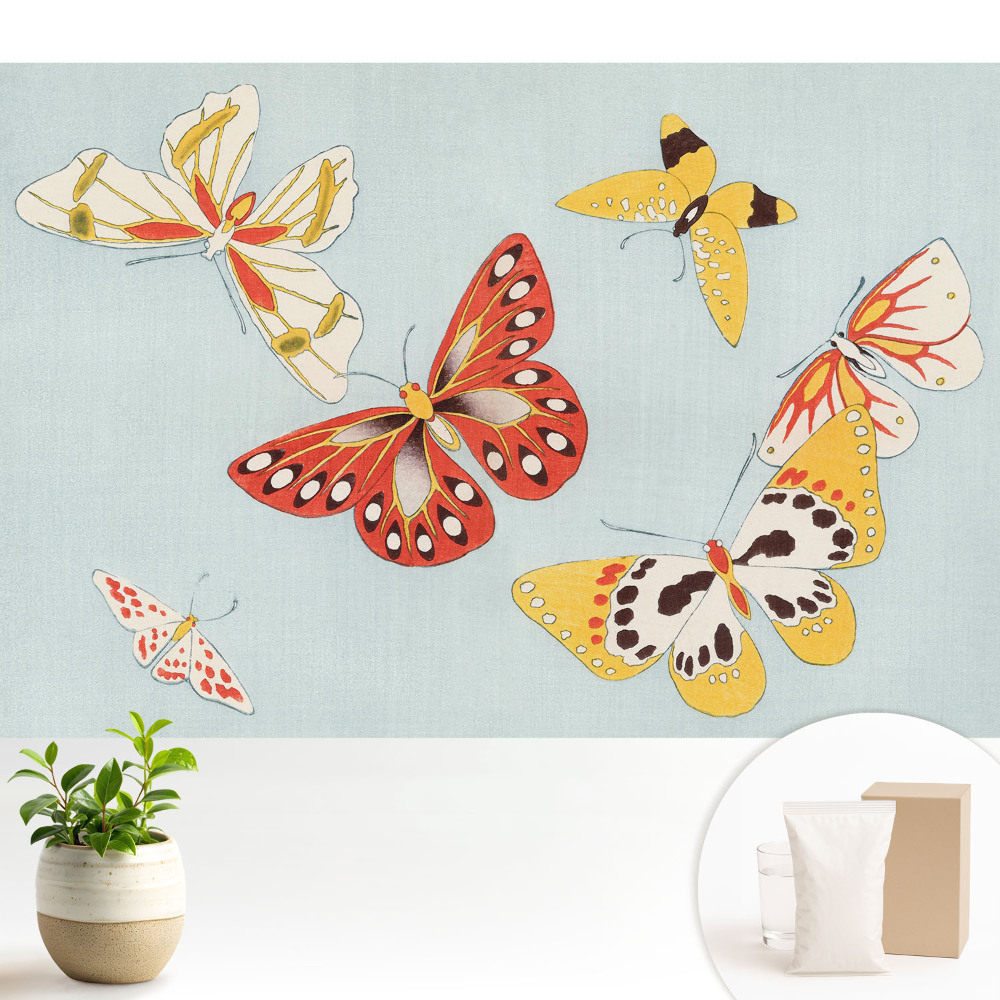 Fluturi colorați pe un fundal deschis