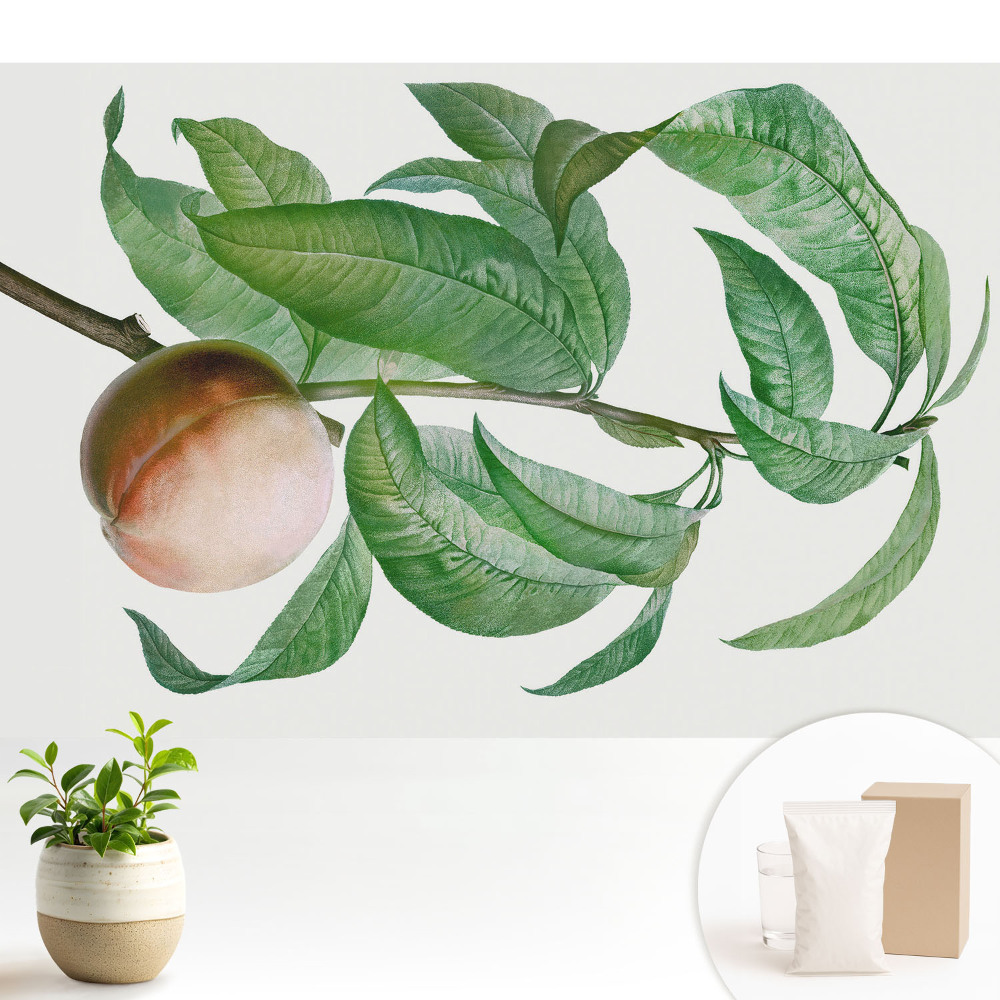 Piersici și frunze într-un stil clasic