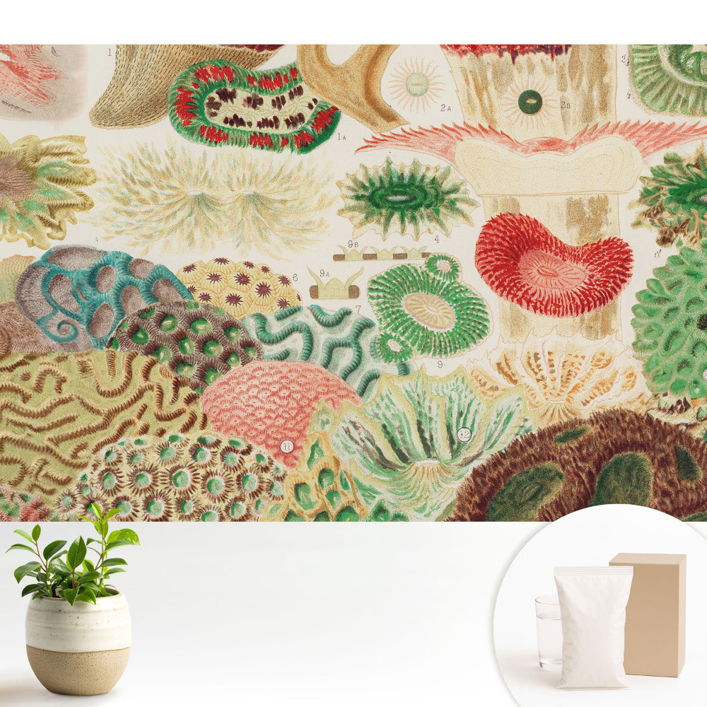 Motive și structuri organice abstracte