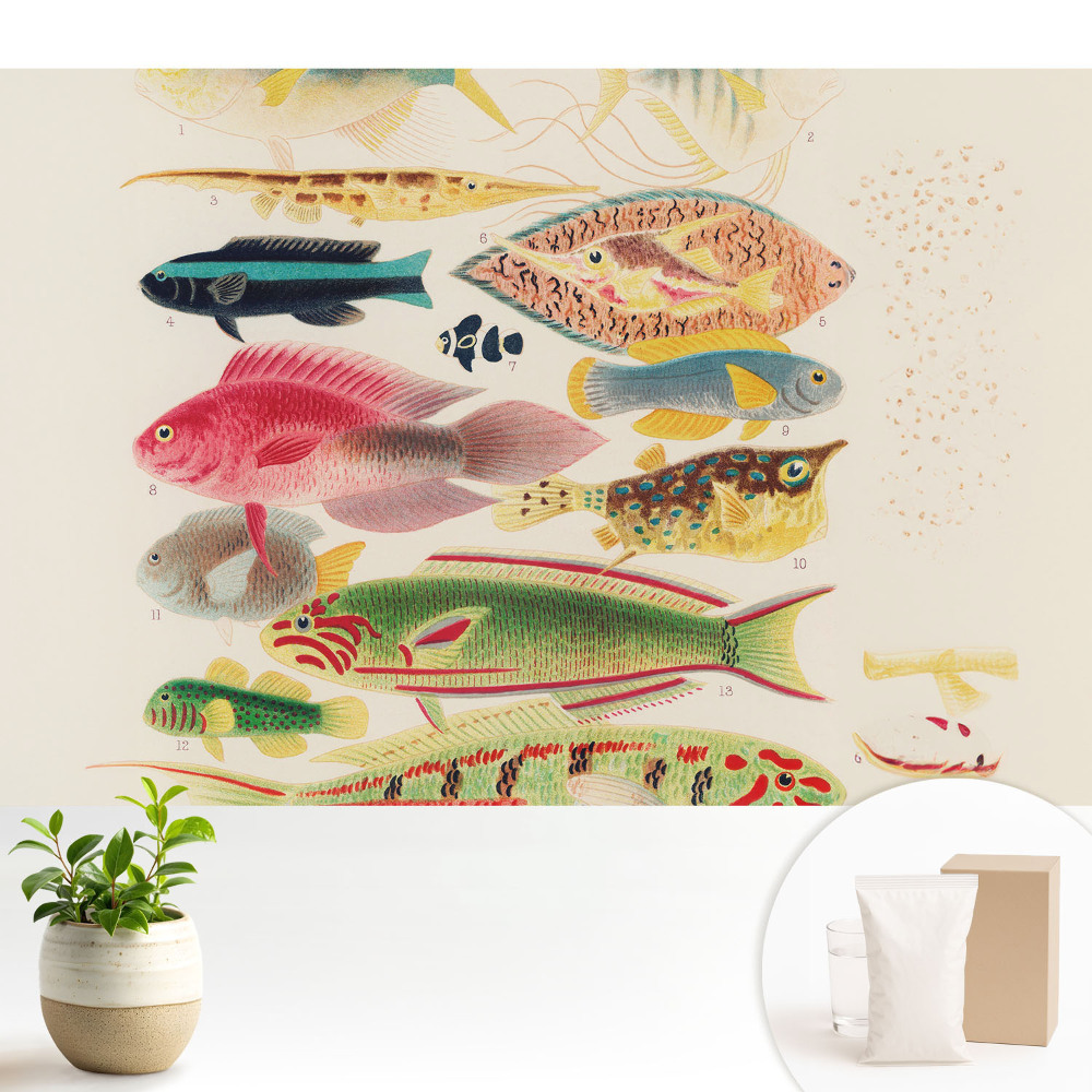 O varietate de pești într-un stil clasic