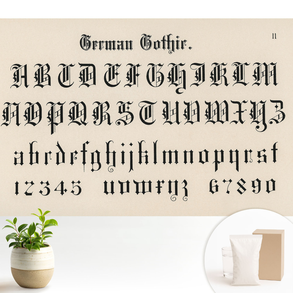 Alfabet gotic elegant și decorativ