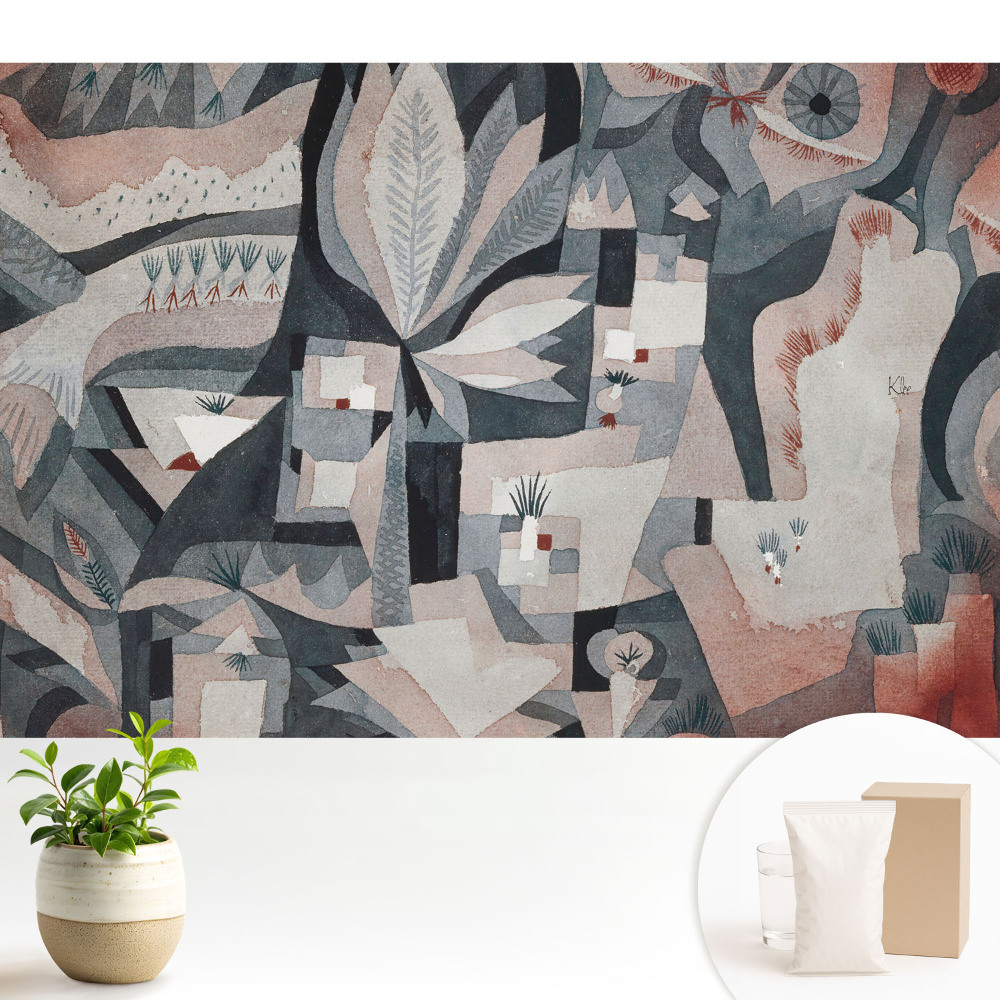 Abstracție modernă