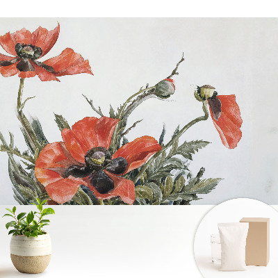 Maci delicați pe un fundal deschis