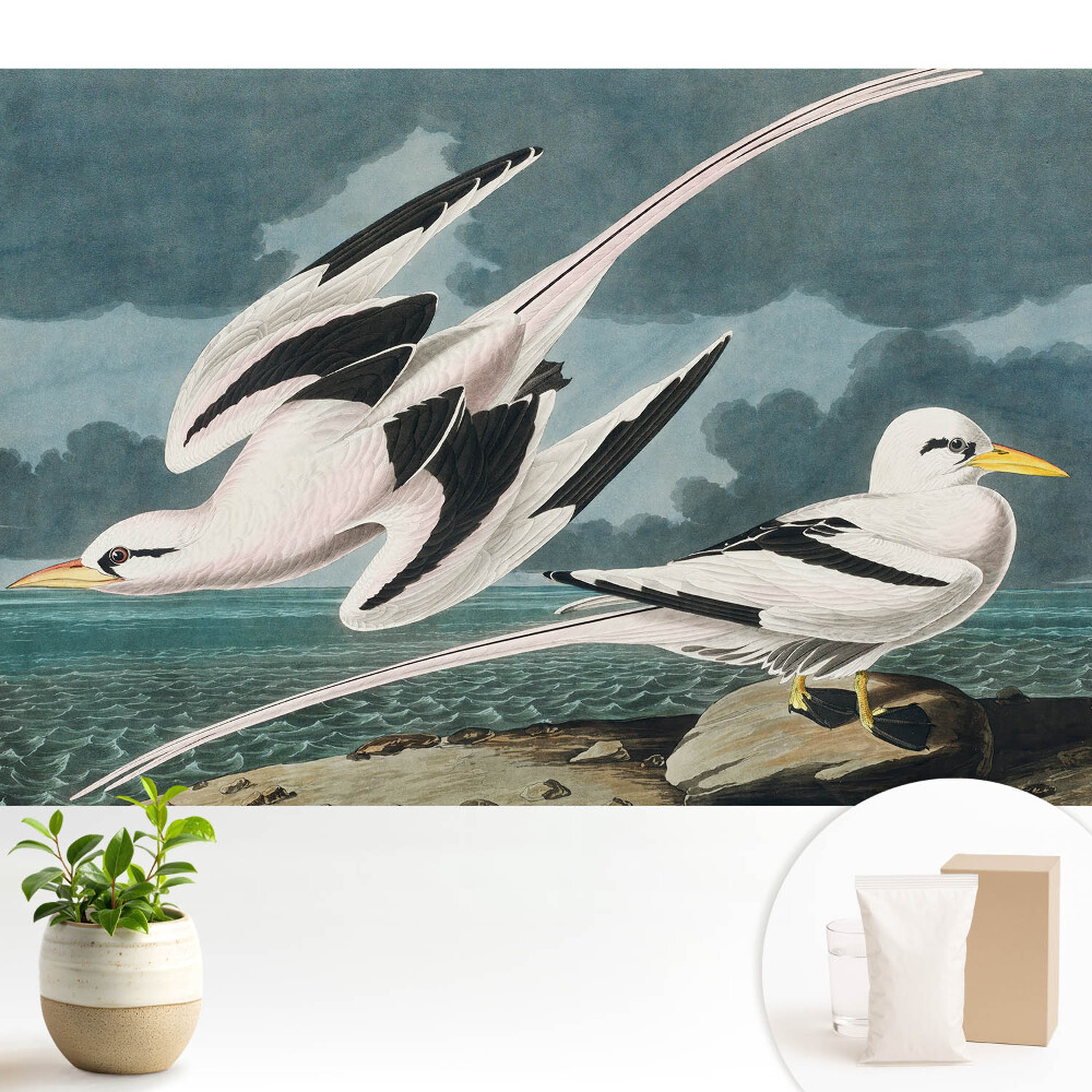 O pictură clasică cu păsări pe mal