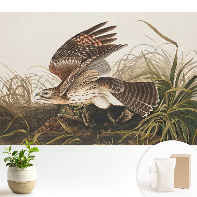 O pasăre în zbor printre iarbă