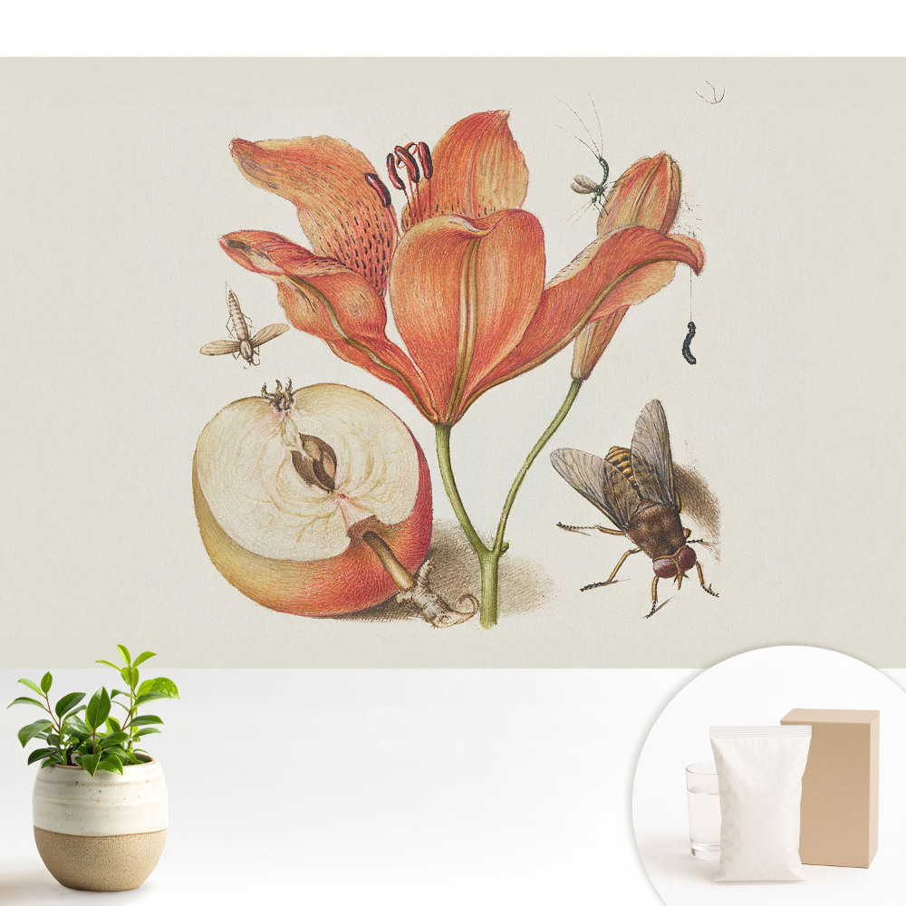 Flori, insecte, fructe, armonia naturii