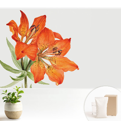 Crin portocaliu în stil clasic, cu aspect subtil