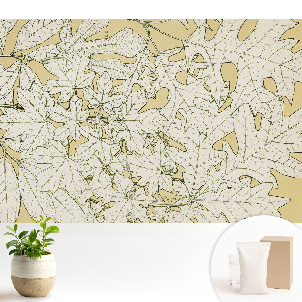 Desen botanic al frunzelor de copac