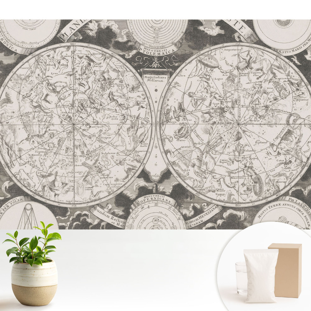 Cartografie retro a constelațiilor istorice