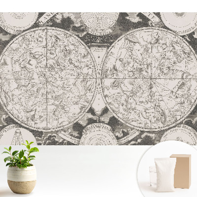 Cartografie retro a constelațiilor istorice