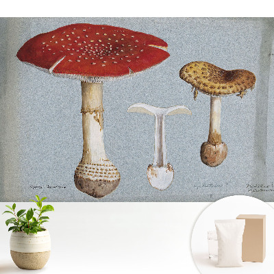 Ilustrație clasică cu ciuperci