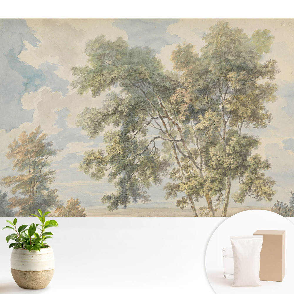 Un peisaj liniștitor de copaci și cer