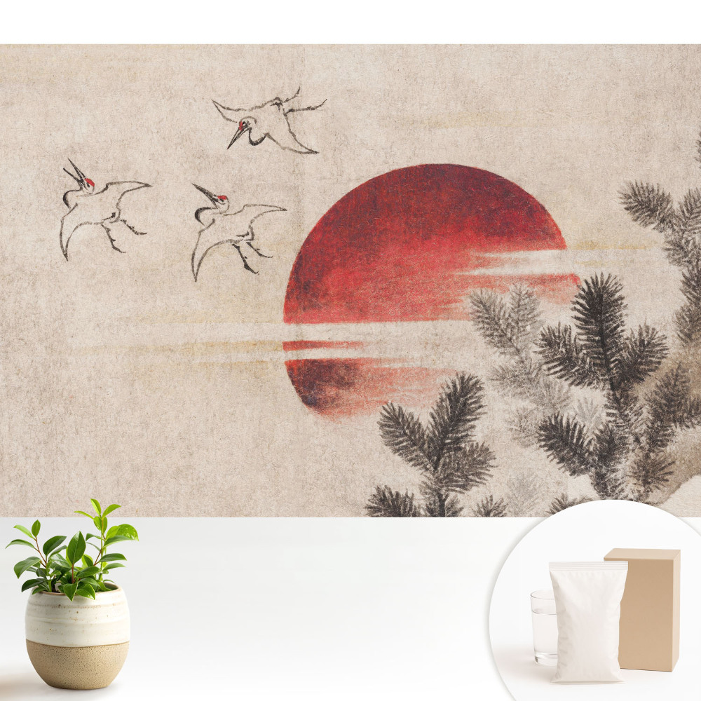 Trei păsări și soarele pe fundalul copacilor coniferi