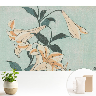 Subtilitatea clasică a naturii