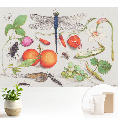 Colaj botanic cu insecte