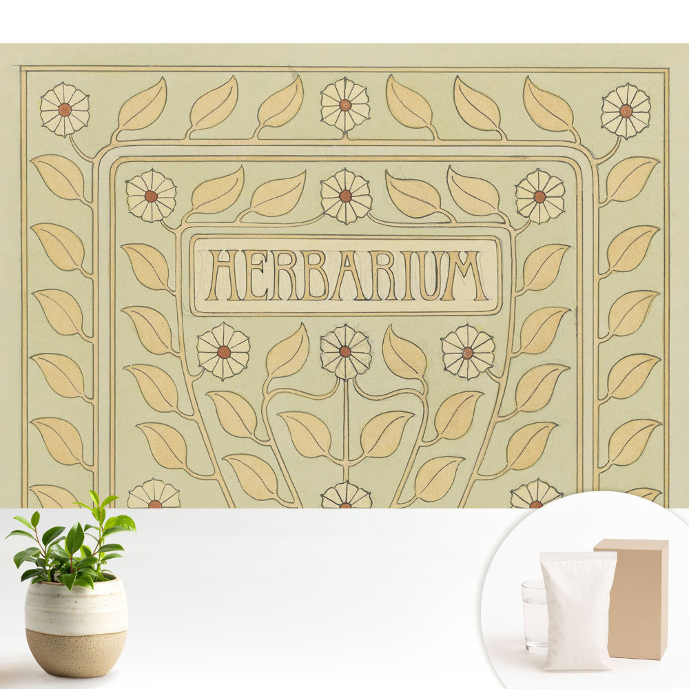 Motive vegetale Art Nouveau cu inscripția Herbarium