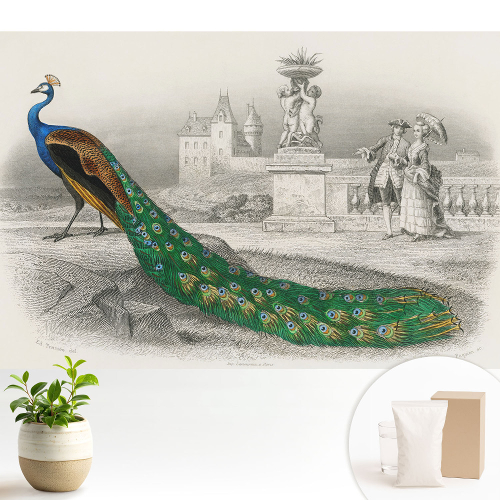 Un păun într-o grădină cu figuri baroce