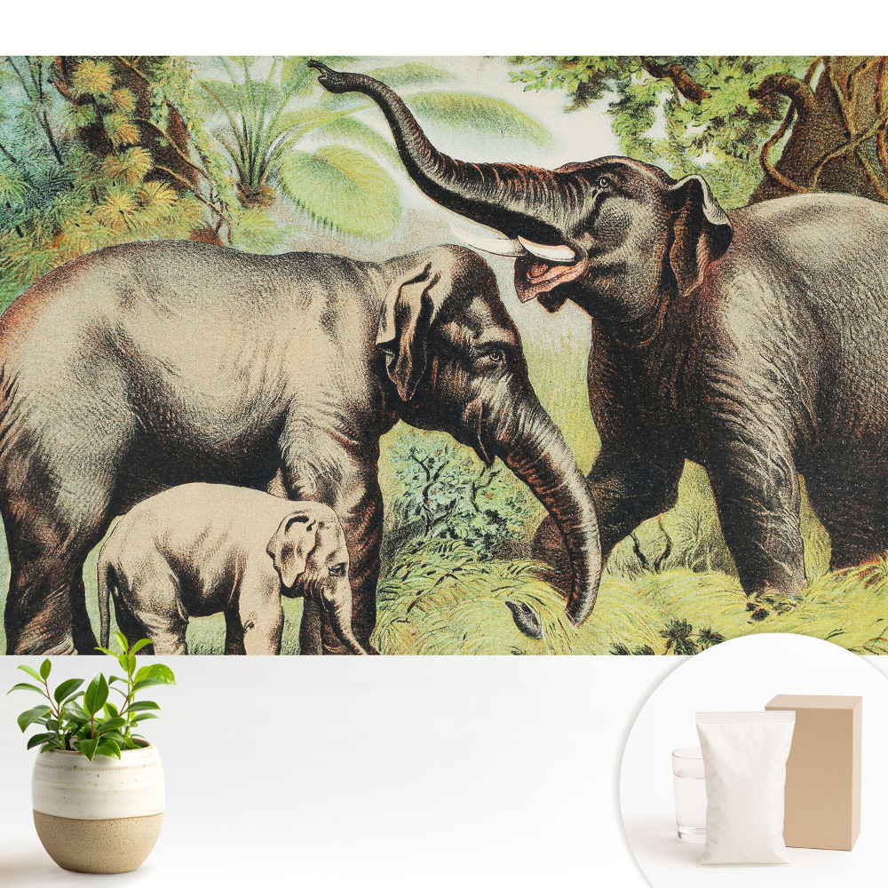 Familie de elefanți pe fundalul junglei