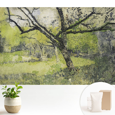 Spațiu verde în parc copac