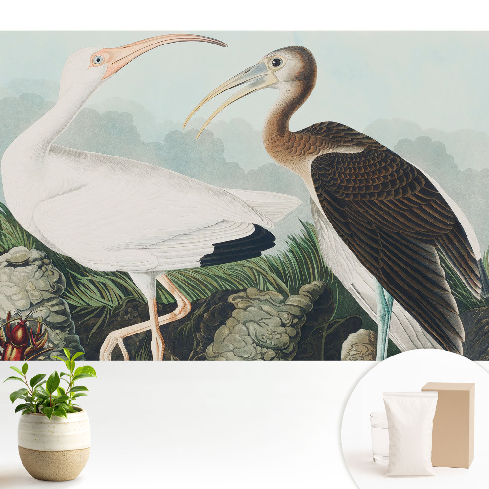 Două păsări în mediul lor natural