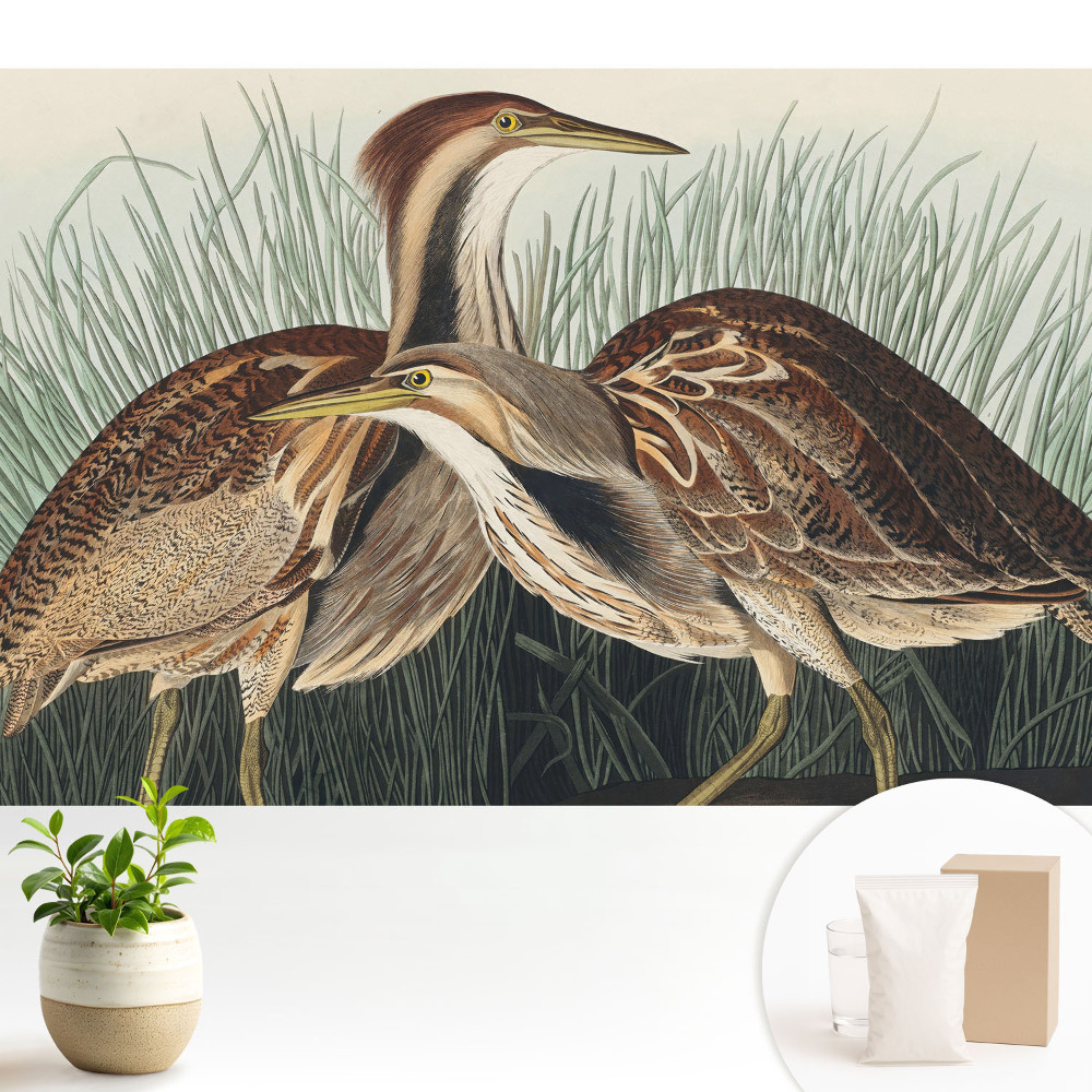 Păsări în iarbă Realism clasic Simetrie