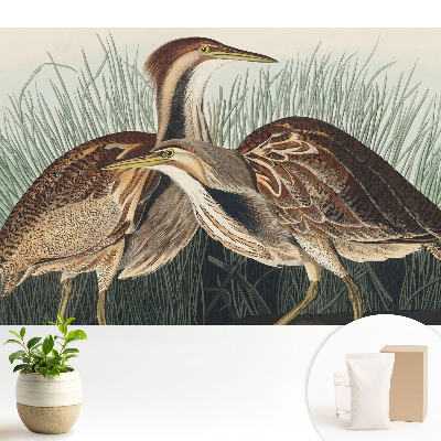 Păsări în iarbă în stil realism clasic cu compoziție simetrică