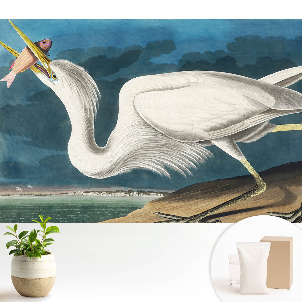 Eleganța păsărilor și natura