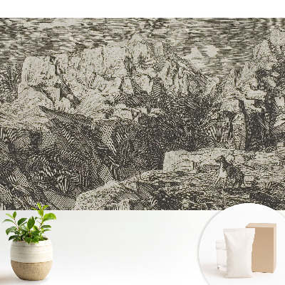 Grafică clasică, roci brute, figură cu un măgar