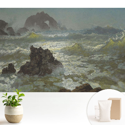 Valuri și pietre ale mării