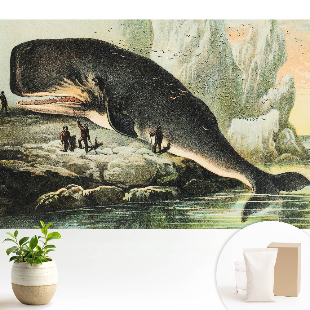 Cașaloț pe țărm într-un decor clasic