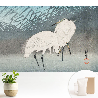 Detaliu eleganță păsări tradiționale pace apă