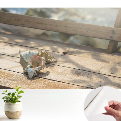 O scoică așezată pe o bancă de lemn