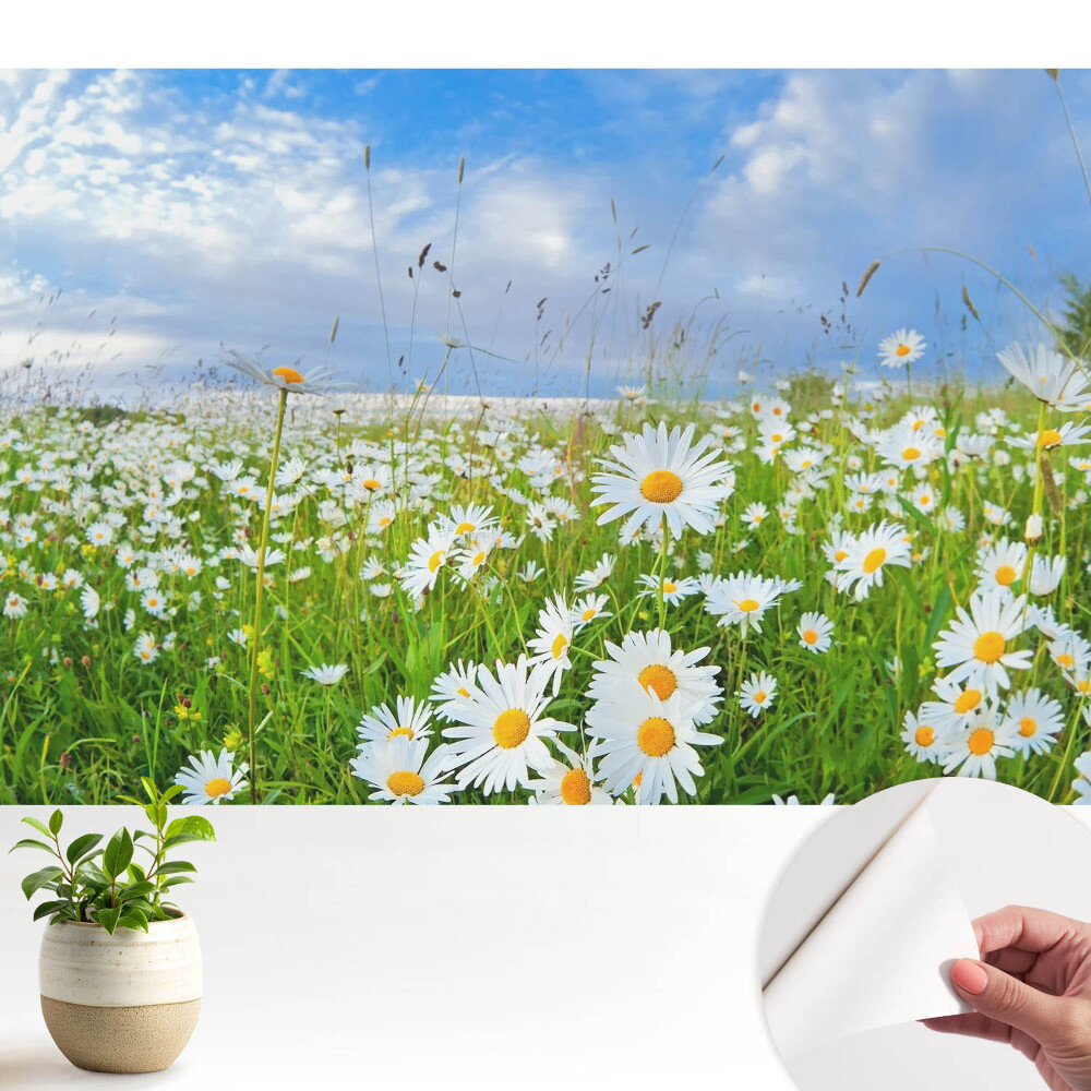 O pajiște înflorită vara