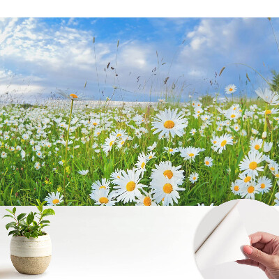 O pajiște înflorită vara