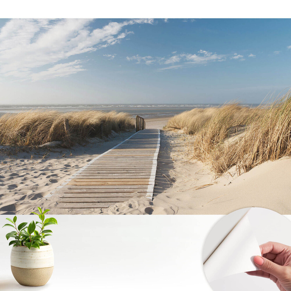 Calea de pe malul mării printre dune