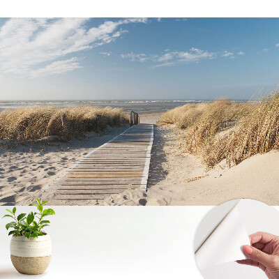 Calea de pe malul mării printre dune